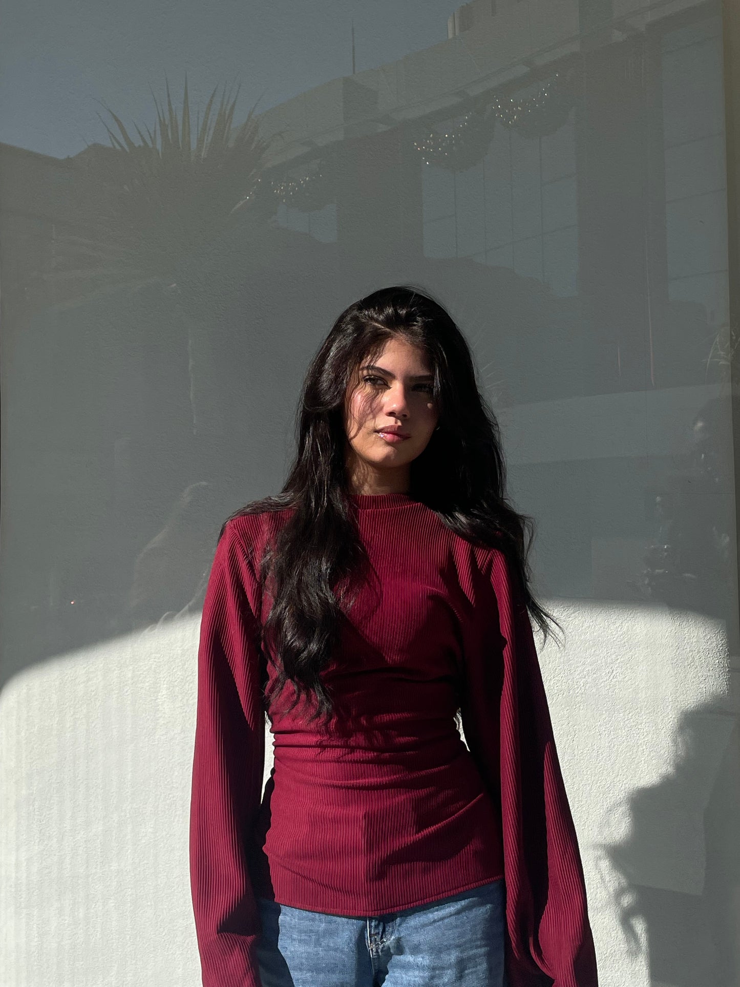 Allure top “Winter edition”